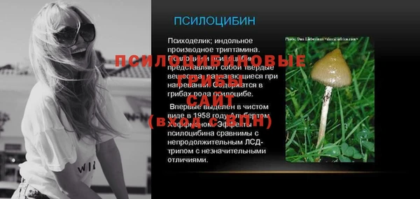 прущая мука Тихвин