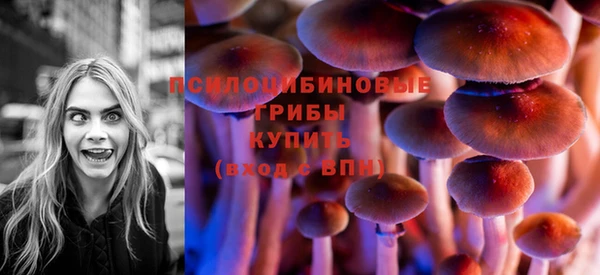 mdpv Тобольск