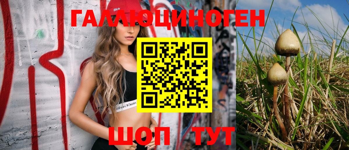 Галлюциногенные грибы мухоморы Бугульма