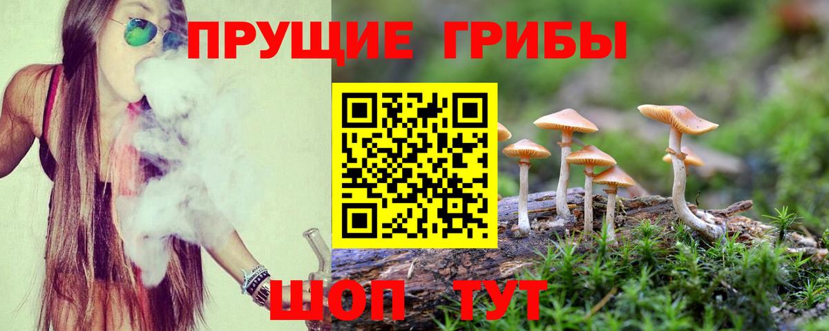Псилоцибиновые грибы Psilocybe  Бугульма  Галлюциногенные грибы Magic Shrooms 